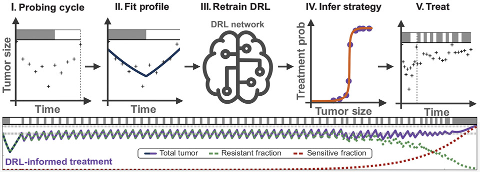 DRL Adaptive