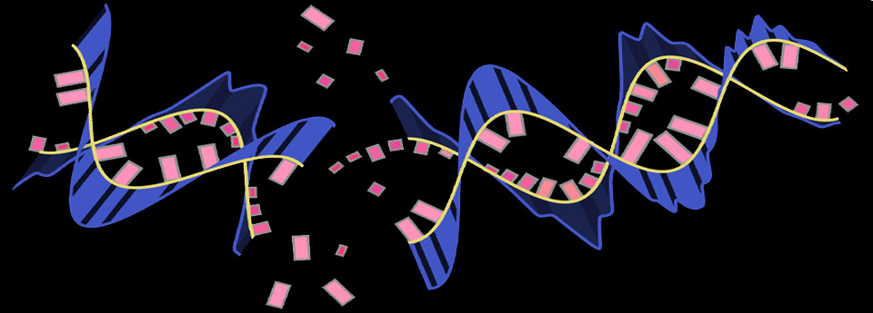 Ovarian modulate or to skip