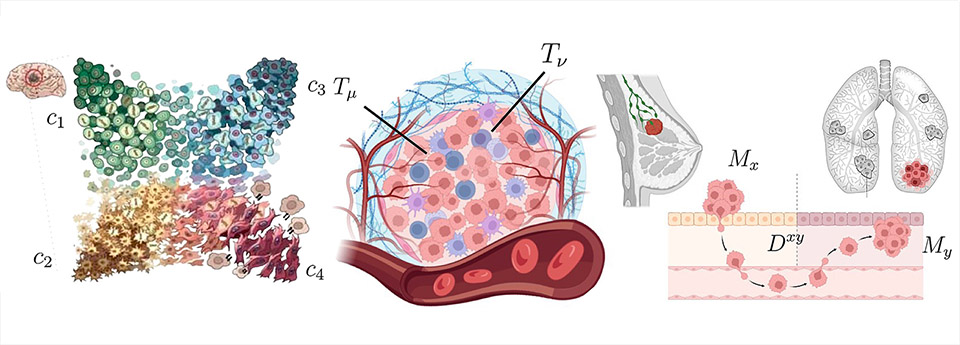 Complex Ecosystems