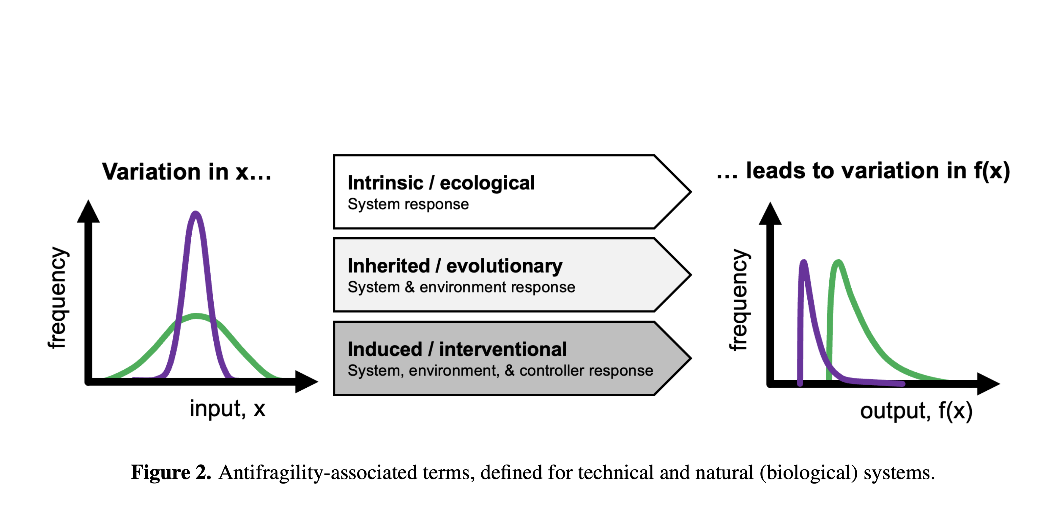 Published: Antifragility in Complex Systems