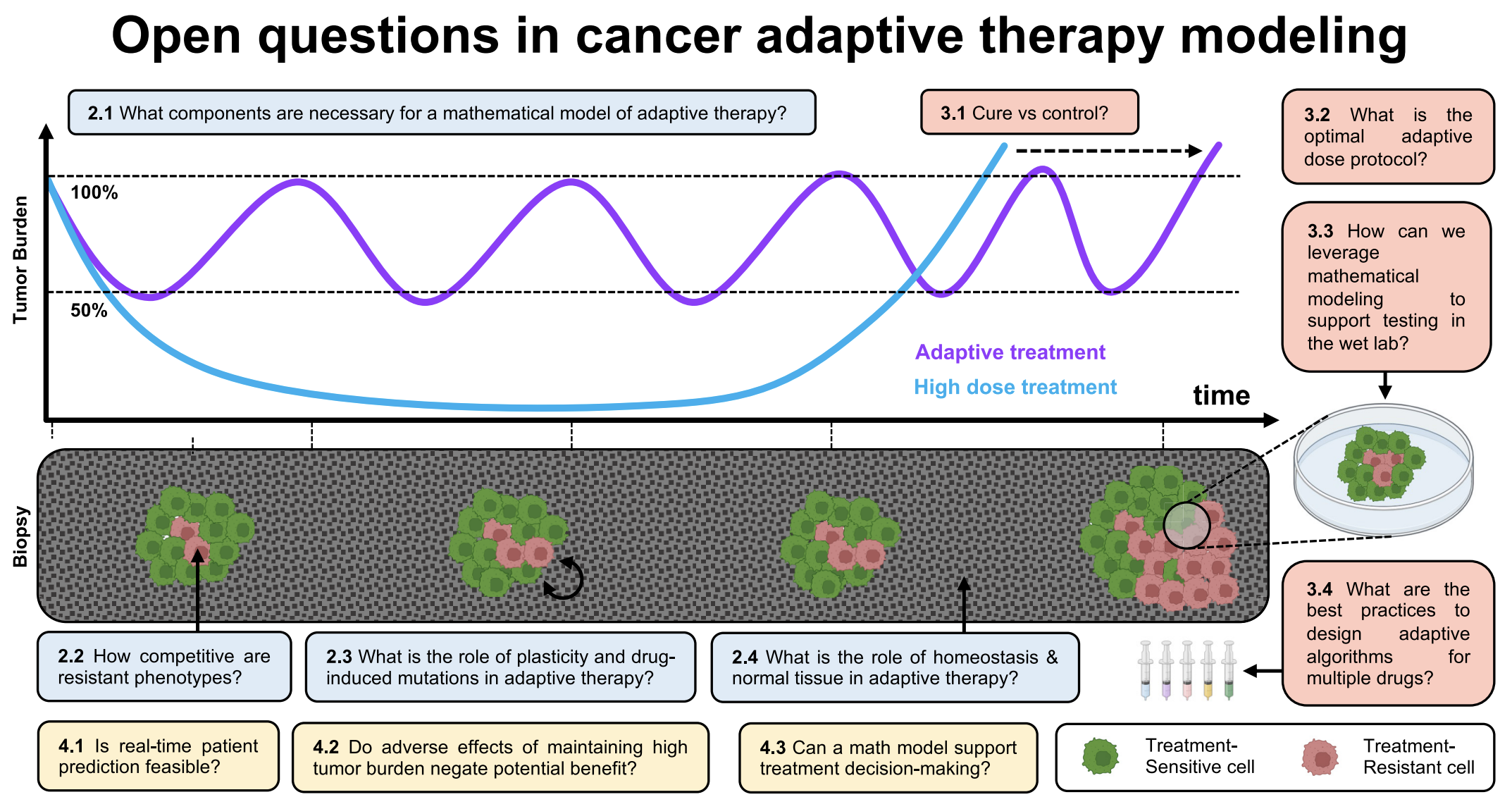 Published: a survey of open questions in adaptive therapy